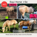 Balance Equine Equi Horse +Se