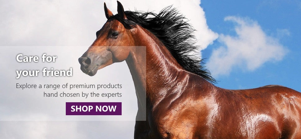 Shop Horse products