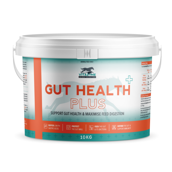 Vitazyme Gut Health Plus