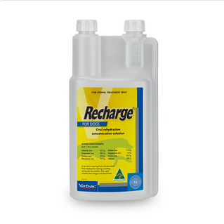 Recharge for Dogs 500ml