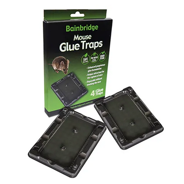 Mouse Glue Trap 4 pk