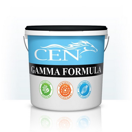CEN Gamma Formula 2L