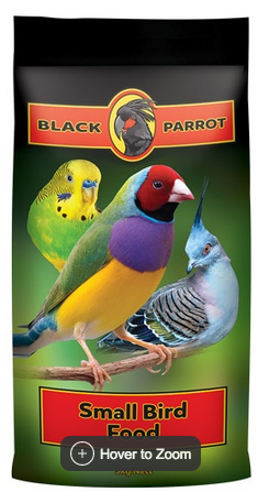 Laucke Black Parrot Small Bird
