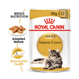 Royal Canin Maine Coon Adult & Kitten