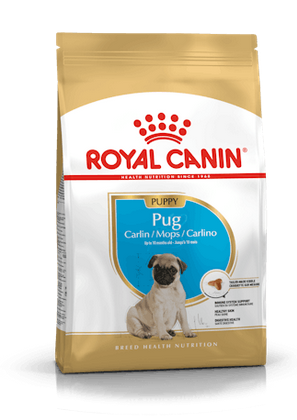 Royal Canin Pug Puppy & Adult