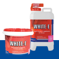 Virbac - White E - The nautral anti-oxidant supplement for horses