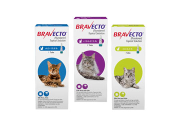 Bravecto Spot-On for Cats – Flea and Tick Treatment