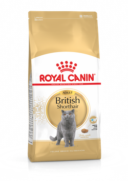 Royal Canin British Shorthair Adult Cat