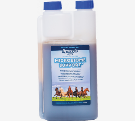 Dynavyte - Microbiome Support Equine