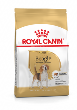 Royal Canin Beagle Dog