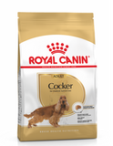 Royal Canin Cocker Spaniel Puppy & Dog