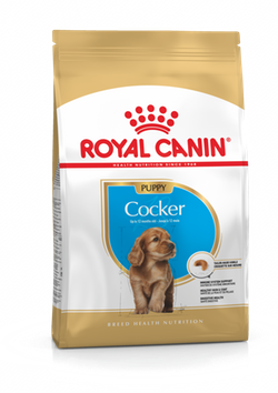 Royal Canin Cocker Spaniel Puppy & Adult