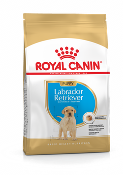 Royal Canin Labrador Puppy & Adult