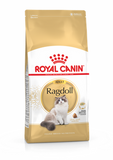 Royal Canin Ragdoll Adult Cat