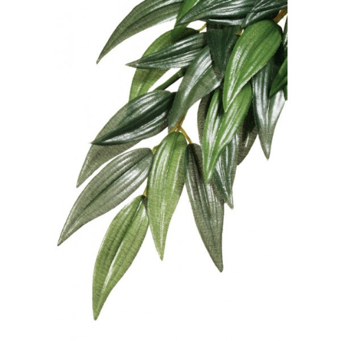 Exo Terra Forest Plant Ruscus Large