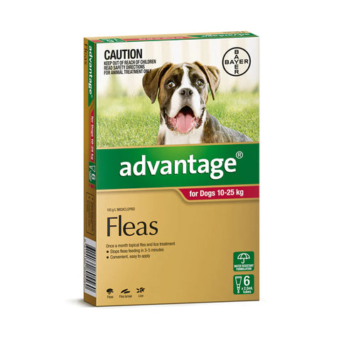 Advantage Fleas for Dogs 19-25kg