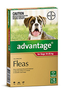 Bayer Advantage Large dogs 10 - 25 kg