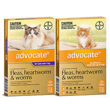 Advocate for Cats - Bayer