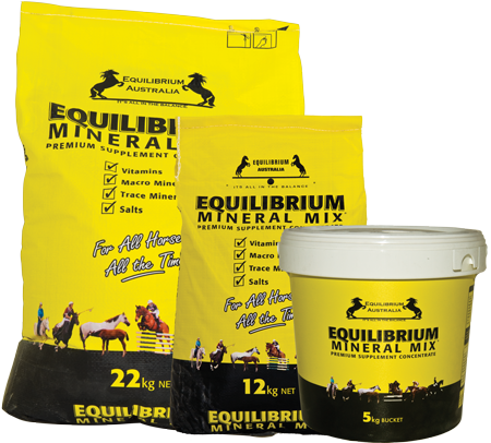 Equilibrium Mineral Mix
