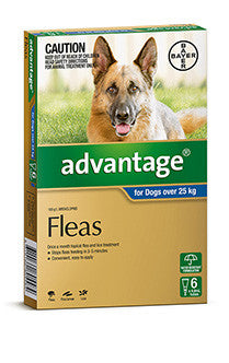 Bayer Advantage Xlarge dogs 25 - 50kg