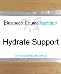 Hydrate Support 1kg