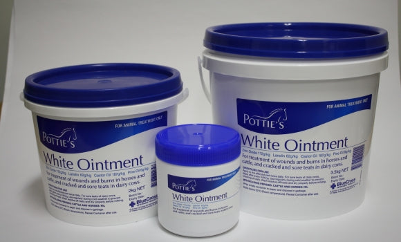 Pottie's White Onitment 350g